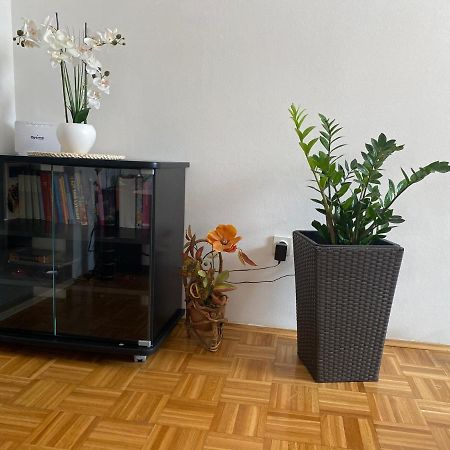Apartment Miana تروغير المظهر الخارجي الصورة