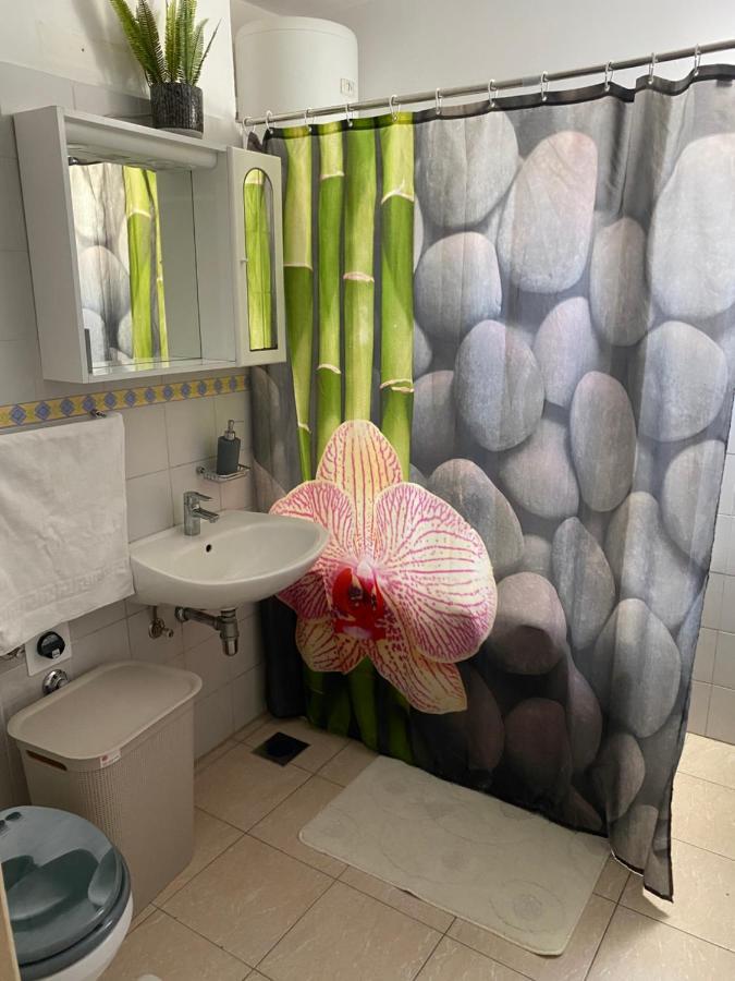 Apartment Miana تروغير المظهر الخارجي الصورة