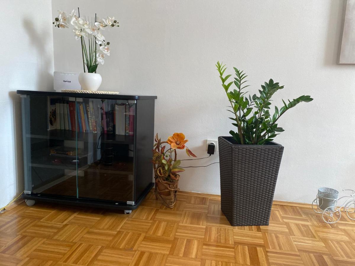 Apartment Miana تروغير المظهر الخارجي الصورة